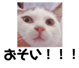 484622746