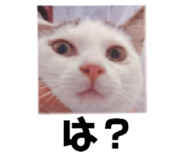 484622751