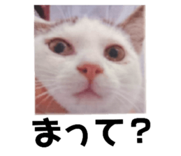 484622753