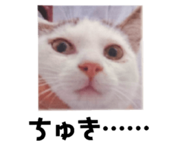 484622754