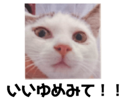 484622755