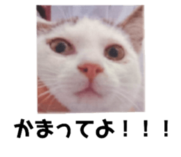 484622757