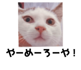 484622758