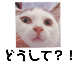 484622760