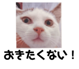 484622762
