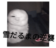 484624055