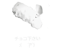 484624058