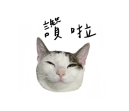 484624298