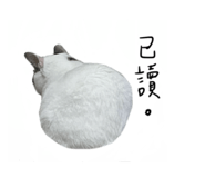 484624313