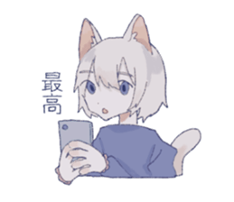 484692493