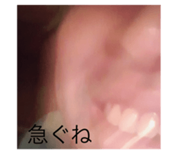 484756262