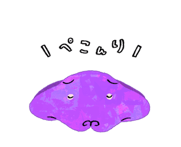 484812446