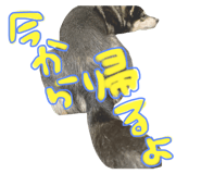 484836224