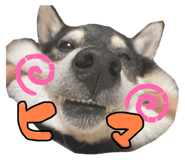 484836227
