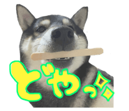 484836234