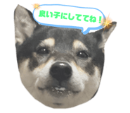 484836236