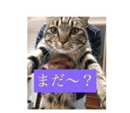 484840202