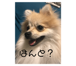 484843308