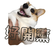 484858425
