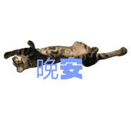 484858429