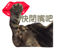 484858441