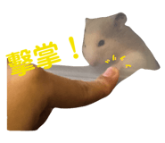 484858444