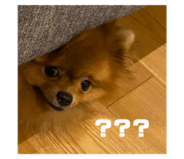484859739