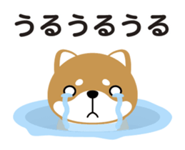 48489758