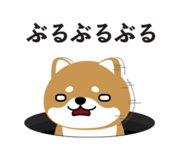48489770