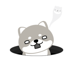 48489778
