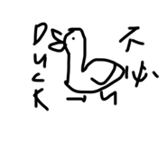 484927339
