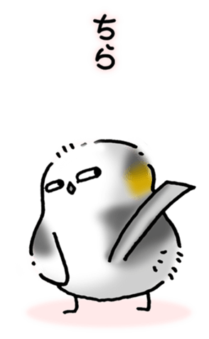 485039645