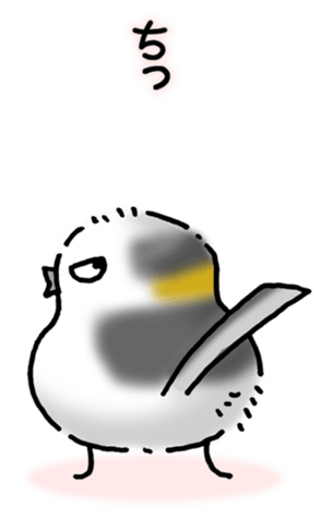 485039673