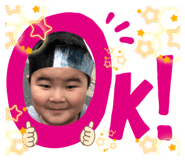 485054646