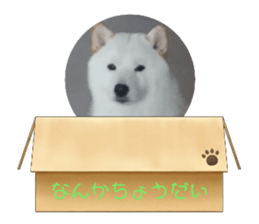 485057900