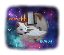 485057930