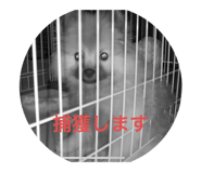 485075167