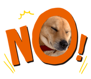 485089207