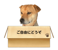 485089219