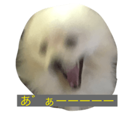 485113601