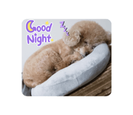 485172393