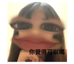 485182443