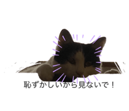 485320628