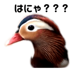 485348310