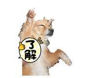 485354989