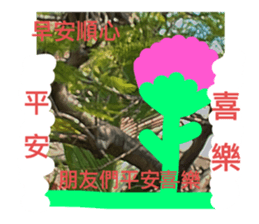 485356613