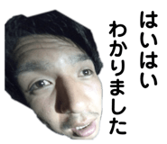 485373811