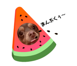 485380281
