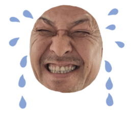485560311