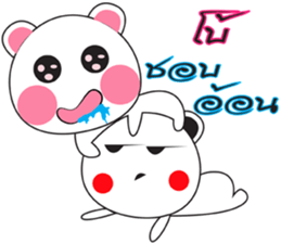48556497